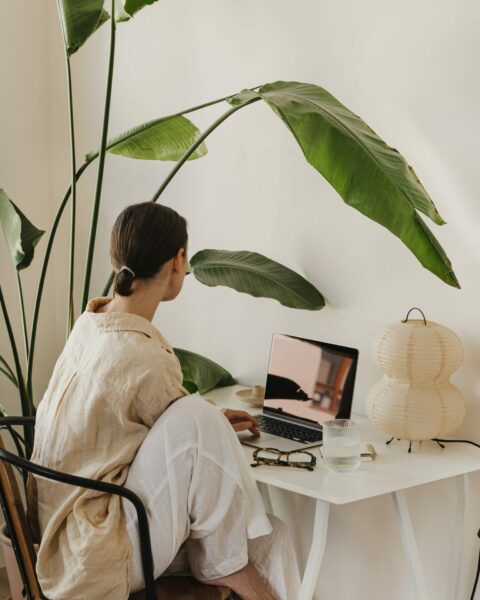 coaching professionnel